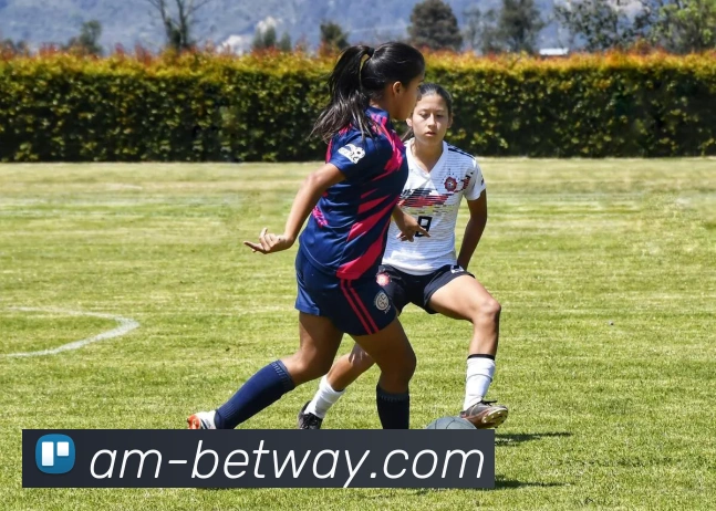 BETWAY必威官网APP 体育赛事宣传图